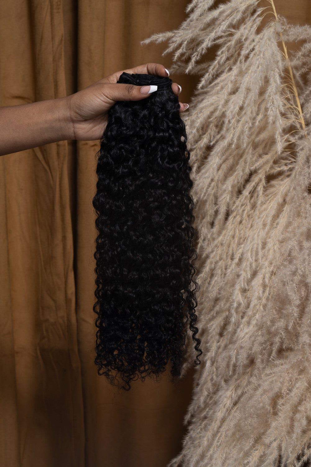 Burmese Curly